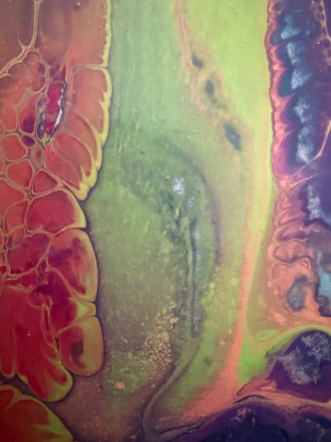 Color Finds It's Way - Set of 4 Coasters