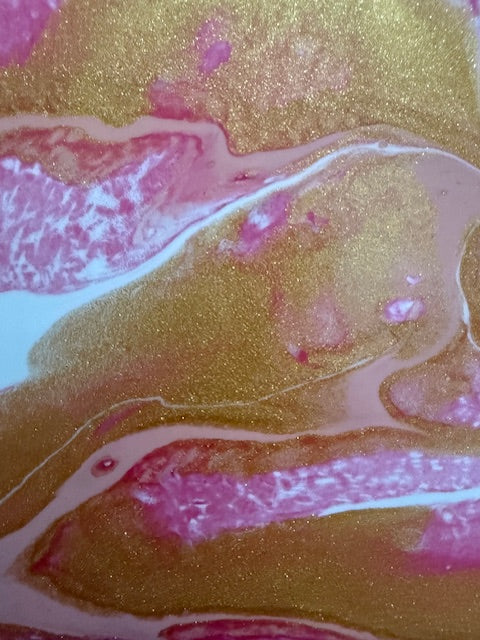 Soft Things Still Shine - Set of 4 Coasters