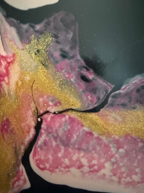 Soft Things Still Shine - Set of 4 Coasters