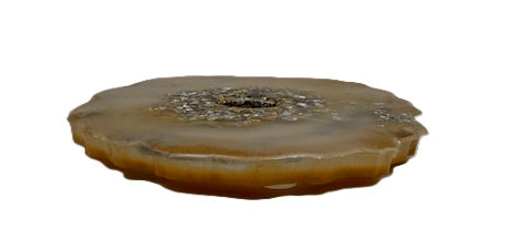 Golden Drift Bloom Coasters - Set of 2